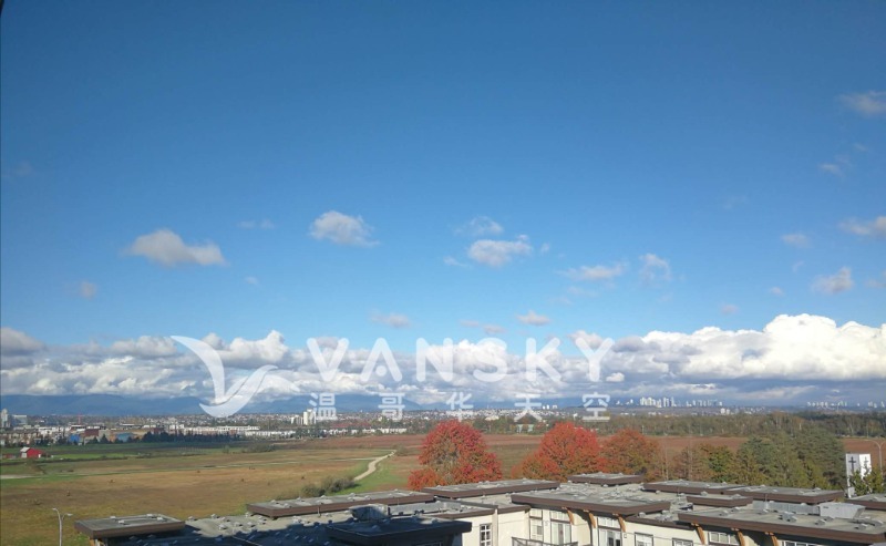 241226142752_911 pic 12.jpg